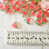 Glitter Watermelon Slice Flatbacks