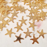 Gold Starfish Charms