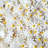 White Daisy Flatbacks