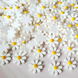 White Daisy Flatbacks