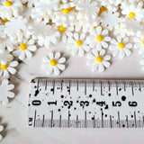 White Daisy Flatbacks