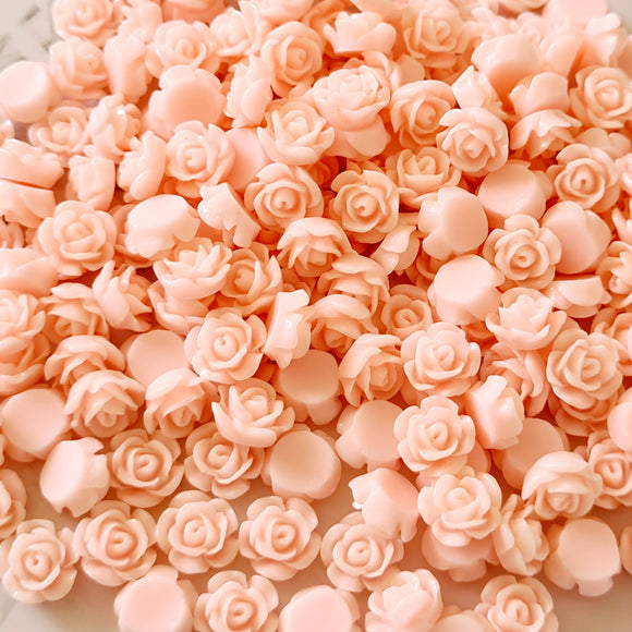 Baby Pink Roses - 20