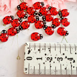 Red Ladybirds - 10