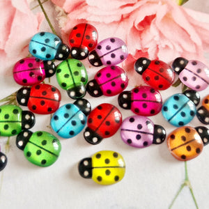 Coloured Ladybirds - 10